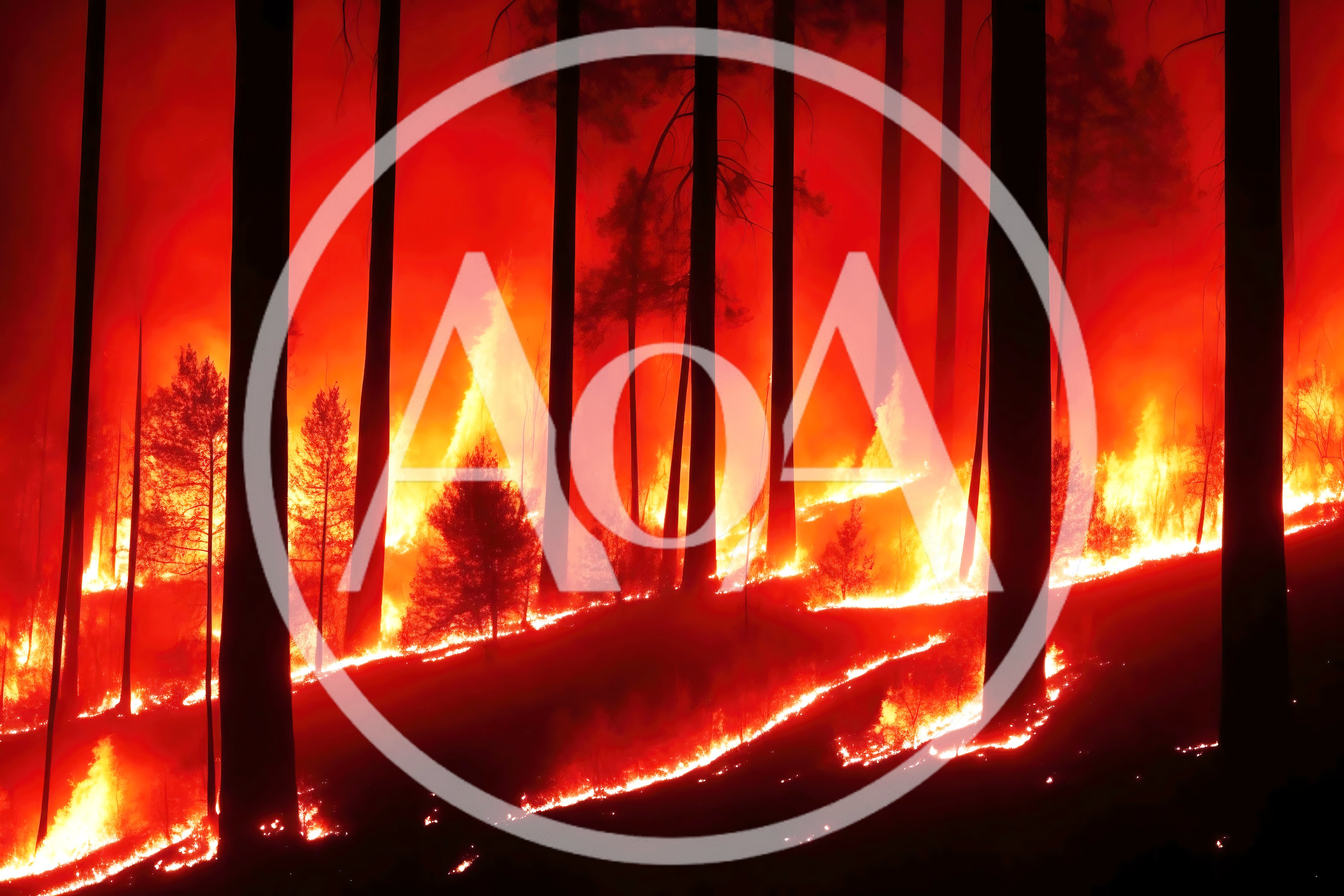 Intense Forest Fire Burning Through Dense Woodland