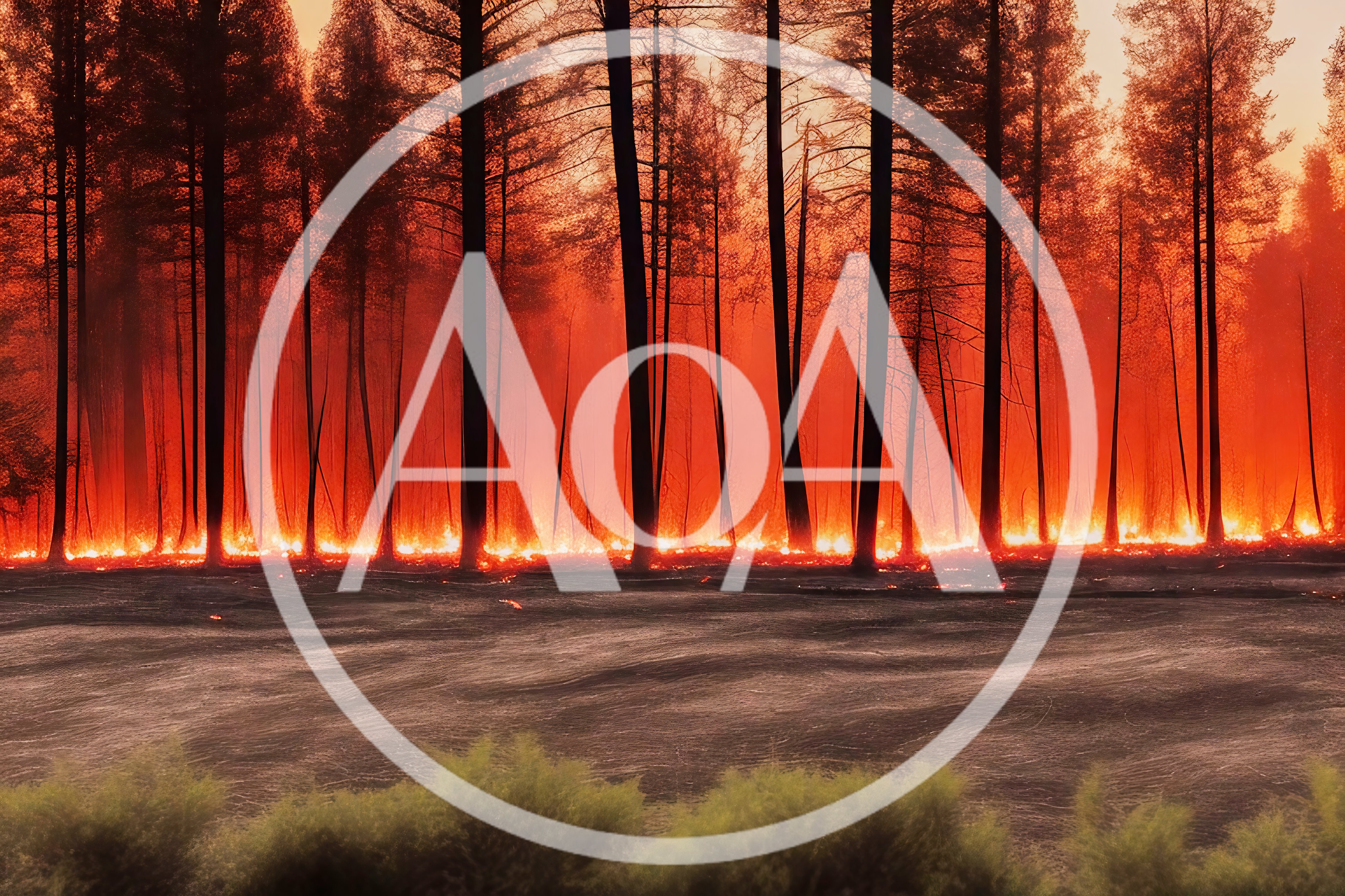 Intense Forest Fire Burning Through Pine Trees