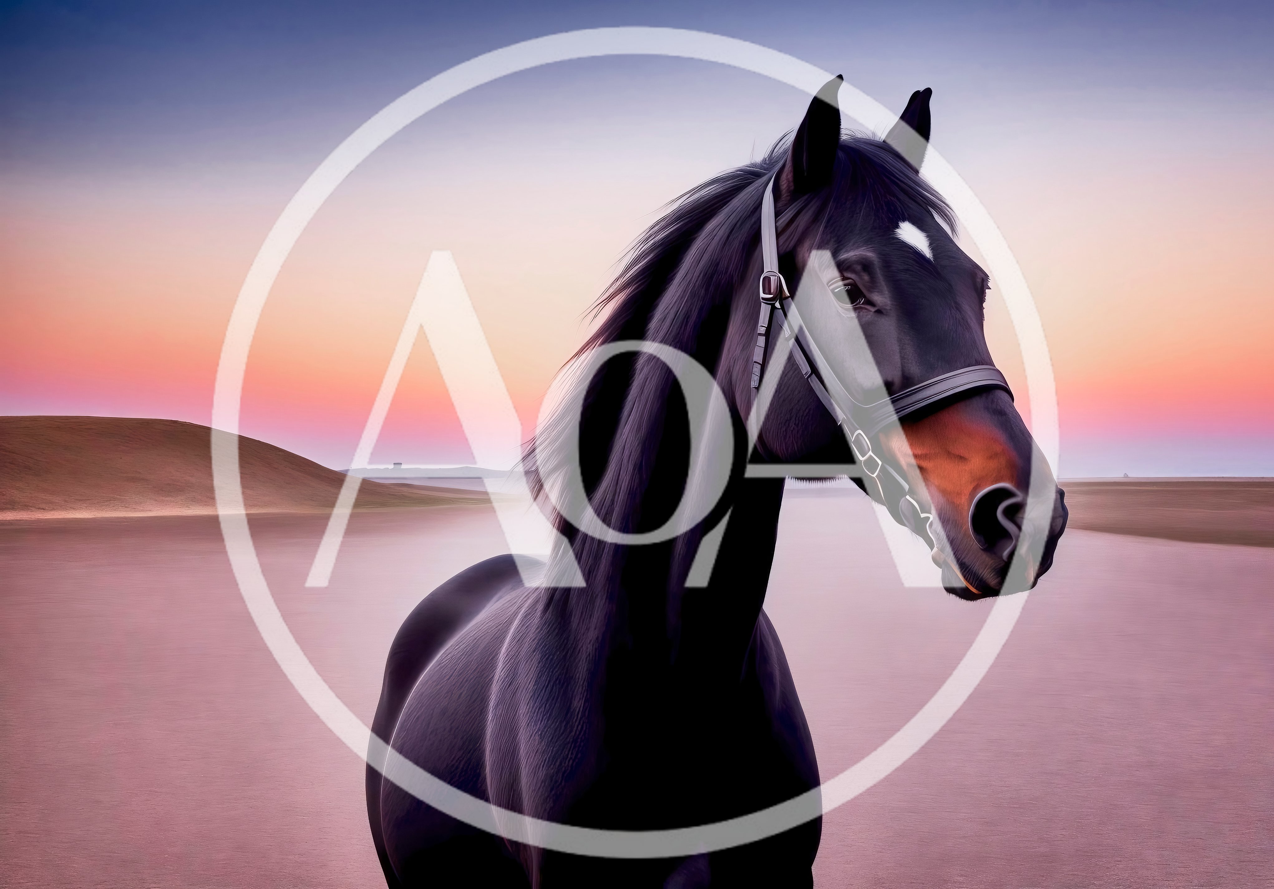 Majestic Black Horse Standing in a Desert Landscape
