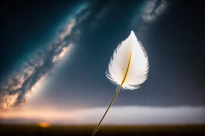 Single White Feather Floating Against A Dramatic Night Sky