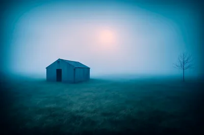 Small Shed Standing Alone In A Misty Field