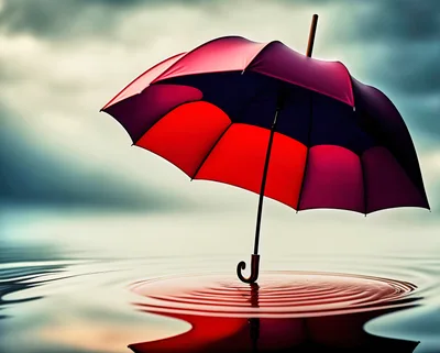 Red Umbrella Floating On Calm Water Surface
