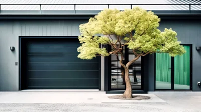 Modern Minimalist House Exterior With Decorative Tree