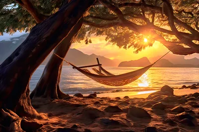 Empty Hammock Hanging Between Trees At Sunset