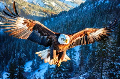 Majestic Bald Eagle Soaring Over Snowy Mountain Landscape