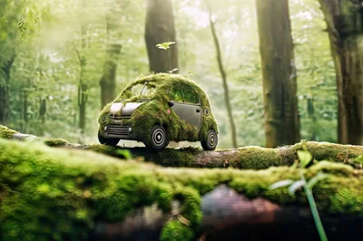 Moss Covered Small Car In A Lush Forest