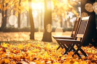 Two Empty Wooden Chairs In A Golden Autumn Park