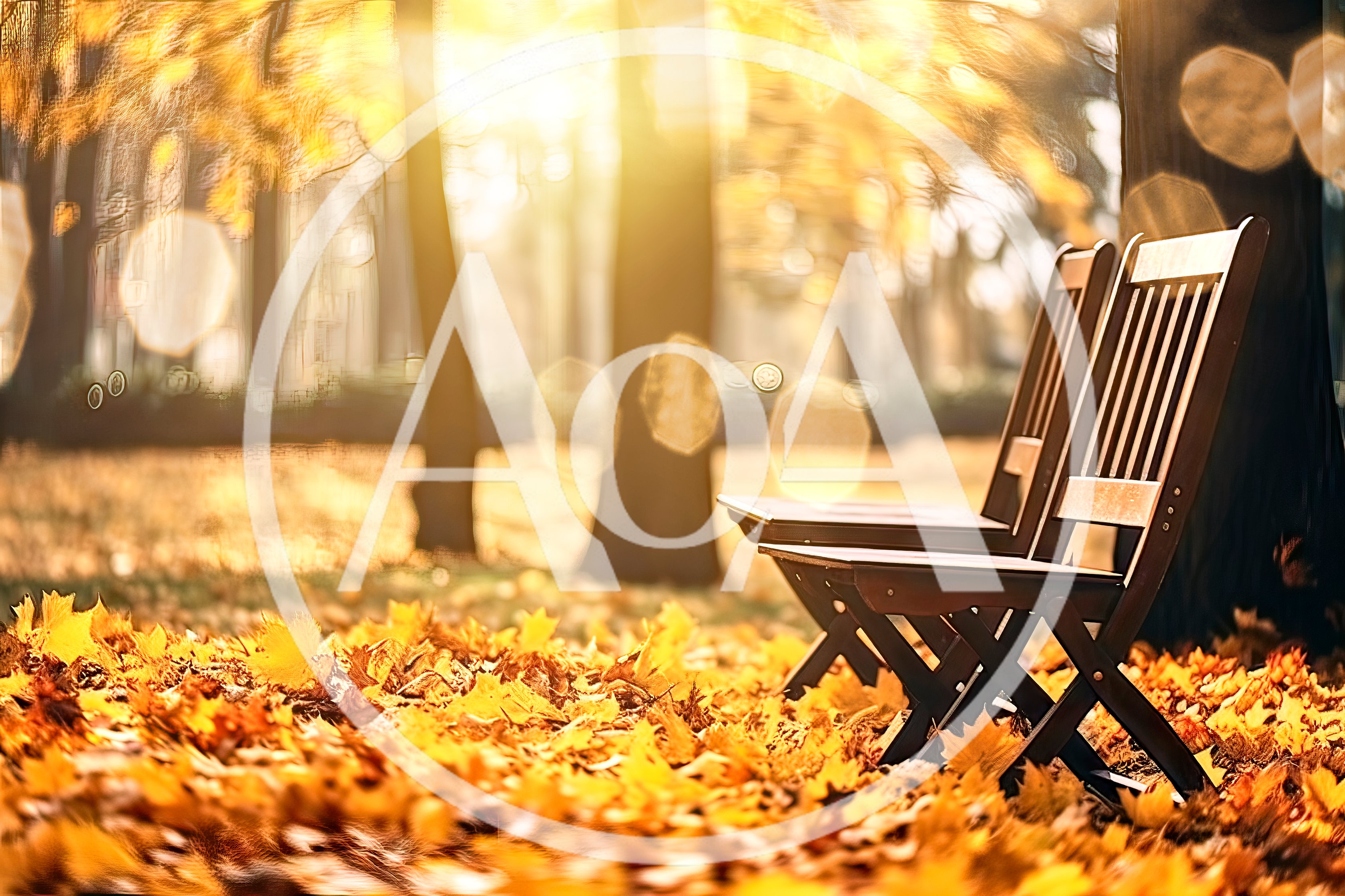 Two Empty Wooden Chairs In A Golden Autumn Park