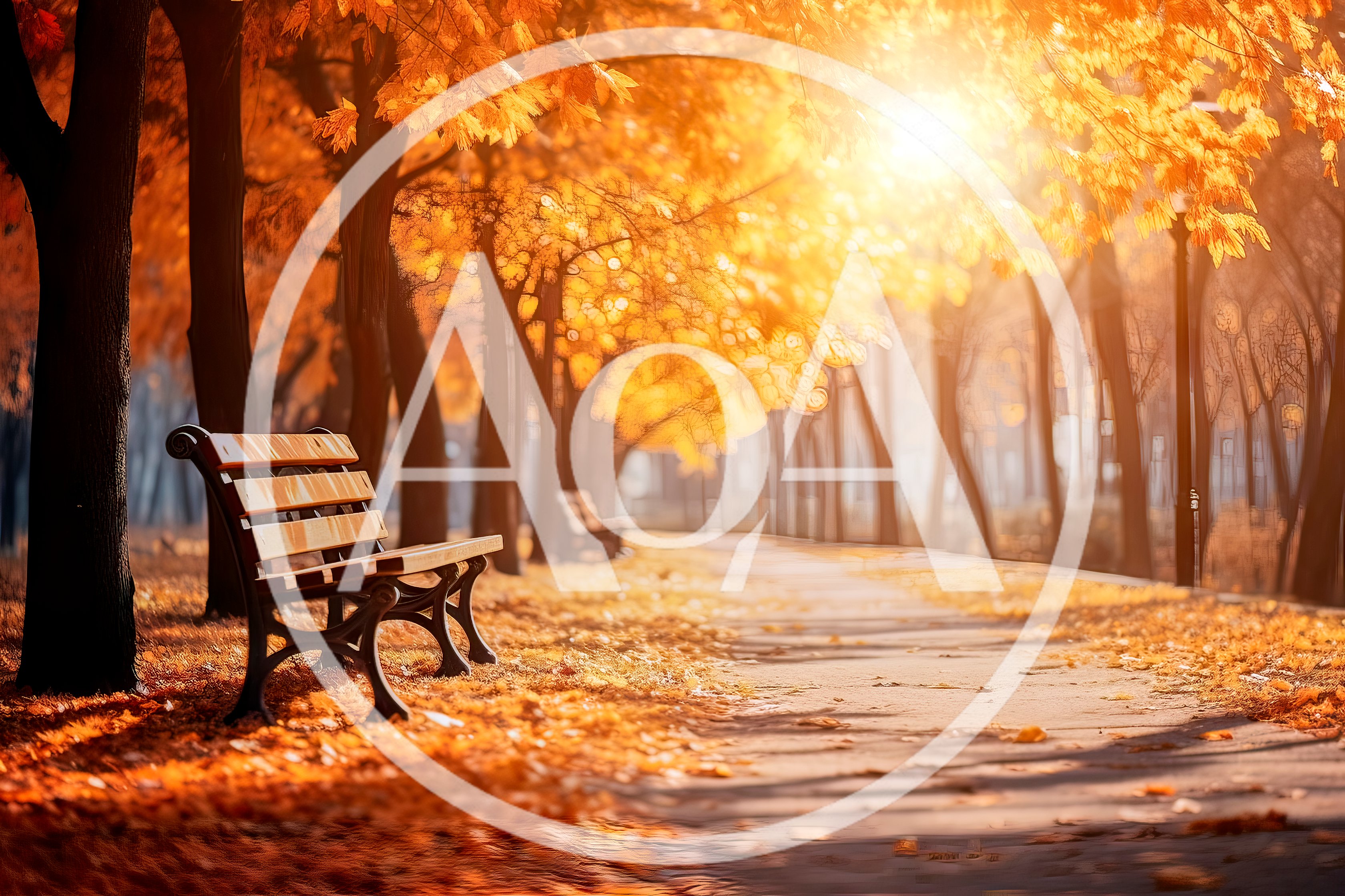 Empty Wooden Bench In A Sunny Autumn Park