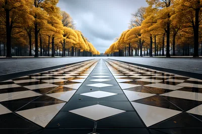 Symmetrical Path Through Autumn Trees With Geometric Tiling