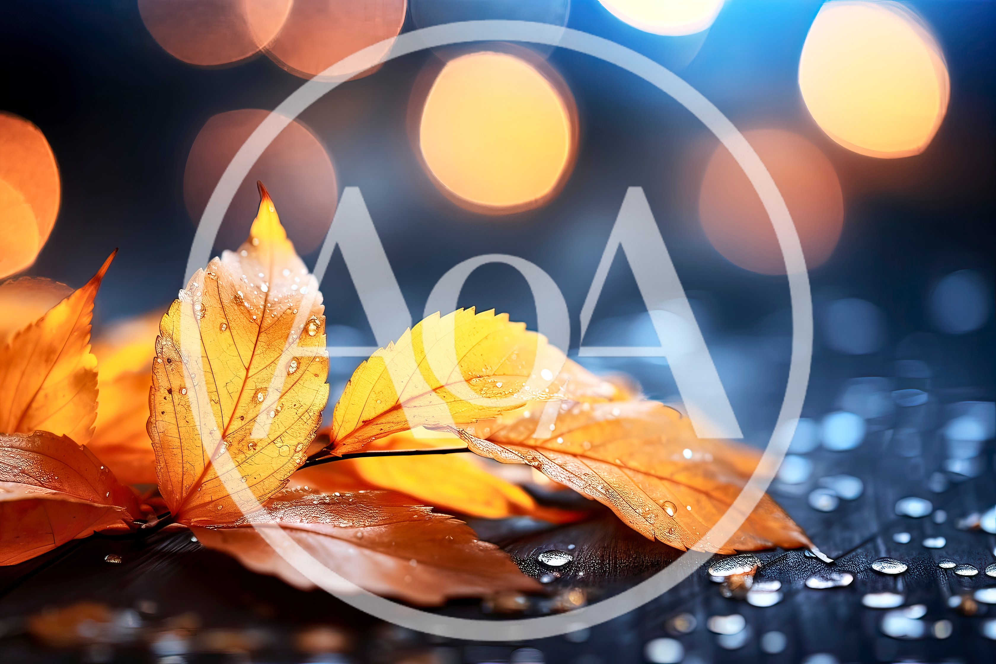 Autumn Leaves With Raindrops On Dark Wooden Surface