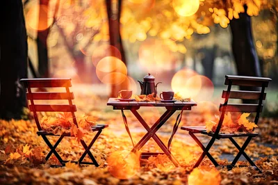 Cozy Autumn Coffee Table Setting In A Park