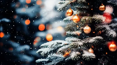 Golden Christmas Ornaments Hanging On Snowy Pine Tree