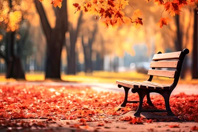 Empty Wooden Park Bench Surrounded By Autumn Leaves