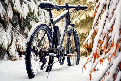 Electric Mountain Bike Parked In Snowy Forest