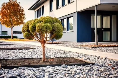 Modern Residential Building With Landscaped Garden And Tree