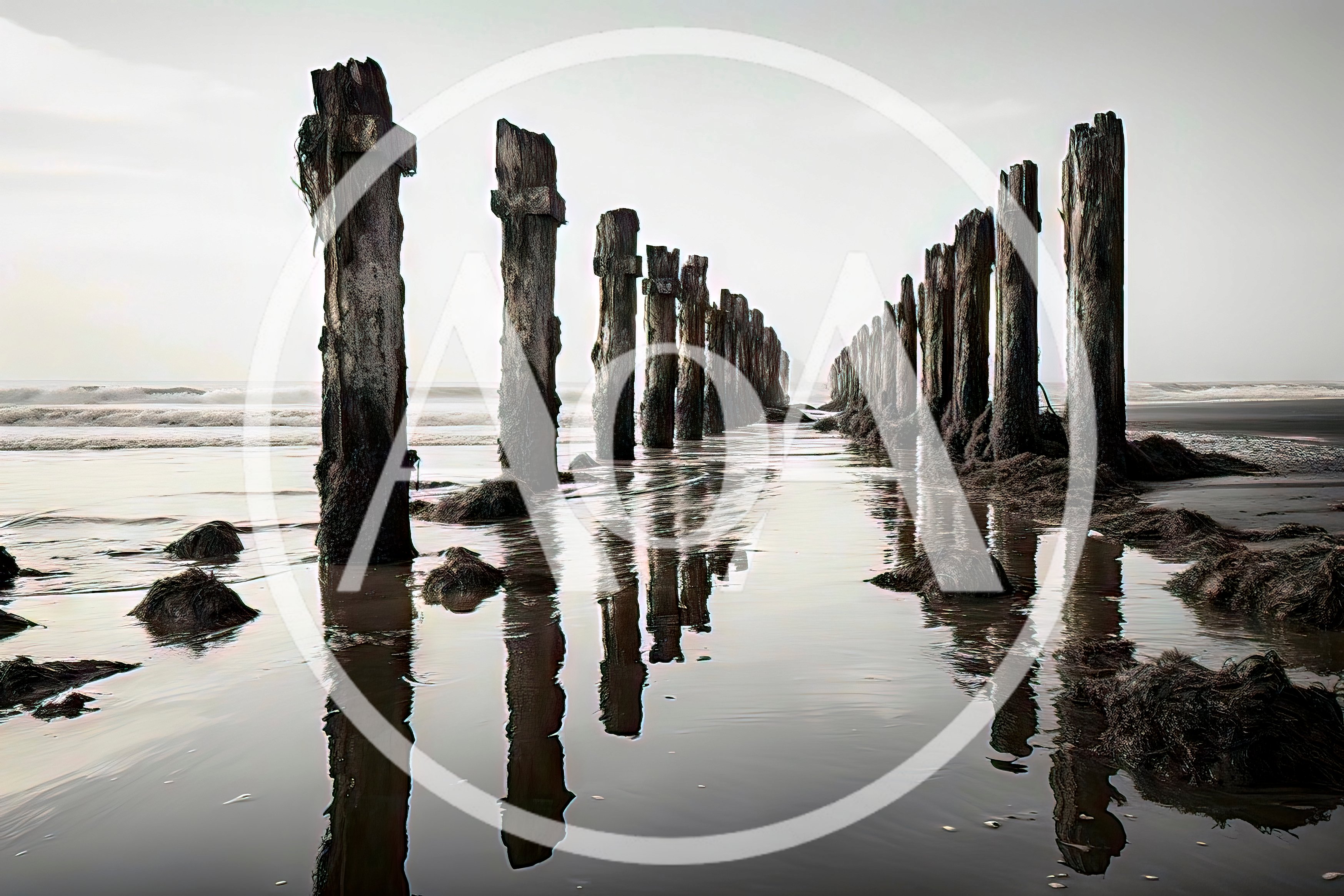 Weathered Wooden Piling Ruins On A Misty Beach